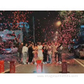 Biodegradable Confetti Cannon with Heart Wedding Party Print